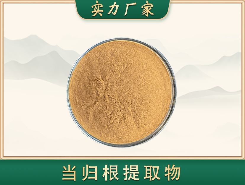 当归提取物（粉）